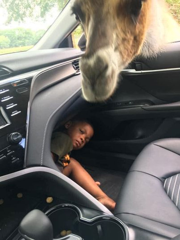 41 Of The Funniest Images From The ‘Kids In Predicaments’ Facebook Page