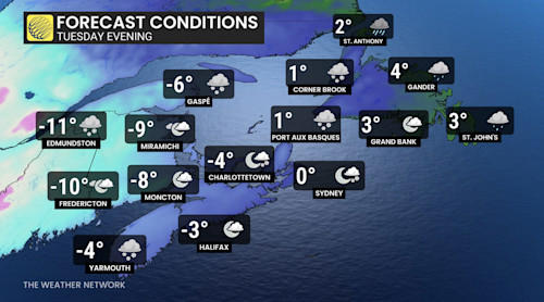 Messy winter storm in Atlantic Canada raises risk of power cuts, travel ...