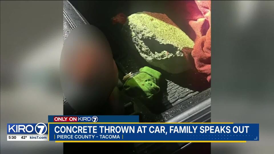 Video: Family speaks out after man injured by concrete block thrown ...