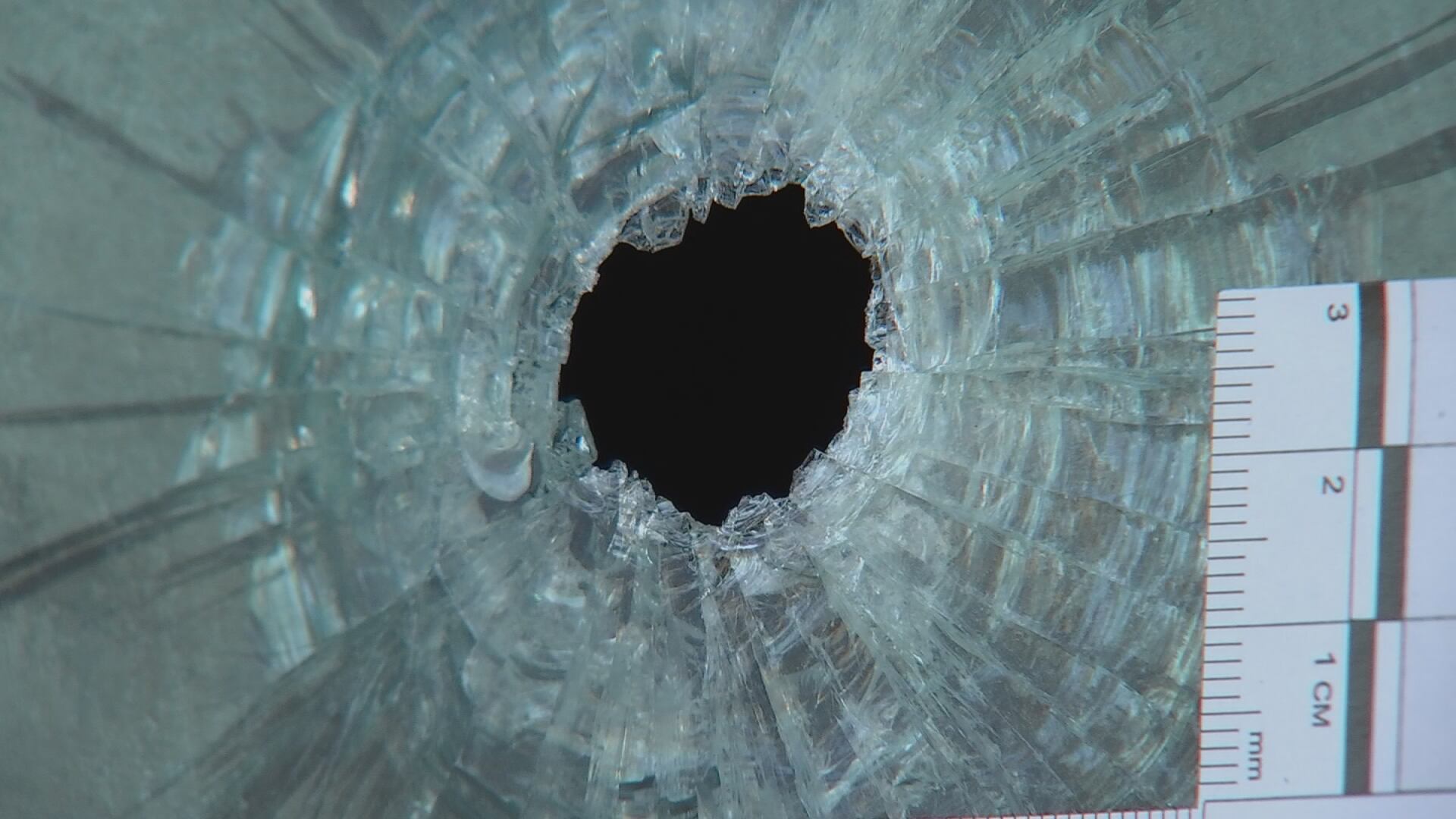 Deadly Bell Road shootout damages businesses, prompts safety concerns