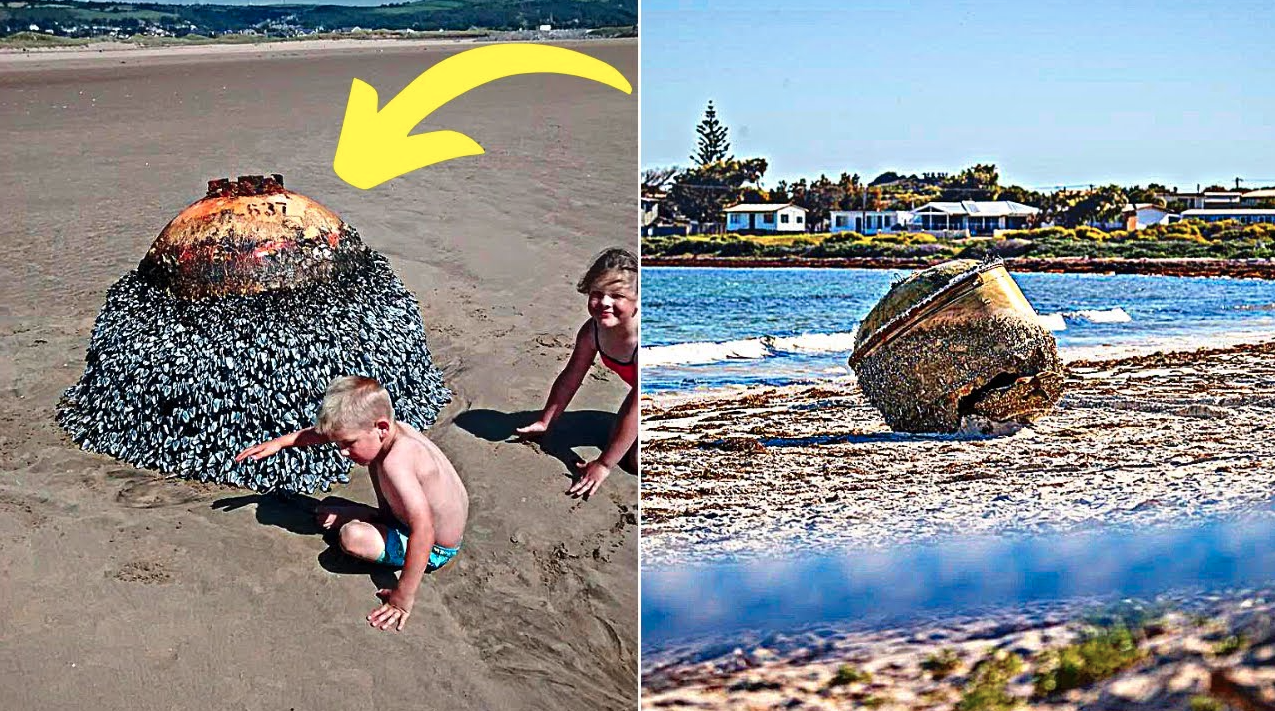 Family discovers the real story behind a mysterious object on the beach