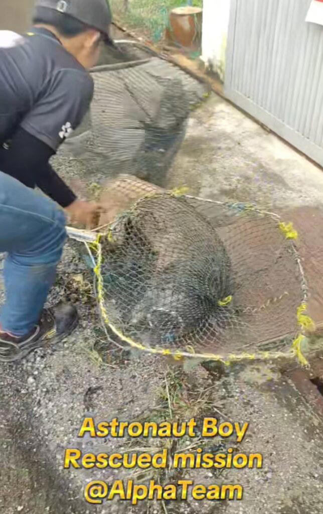 Animal rescuer leads team to save dog that got its head stuck in ...