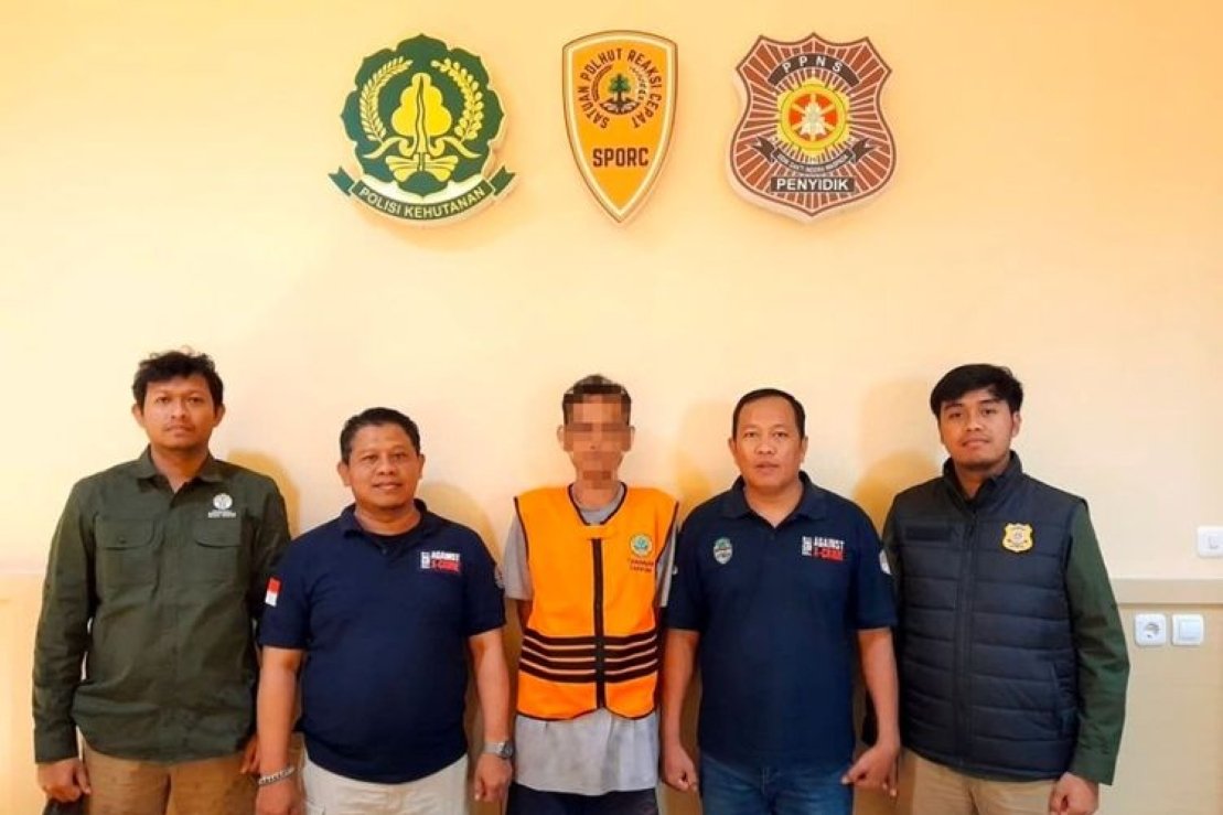 Penangkapan sindikat penebang liar di Taman Nasional Baluran