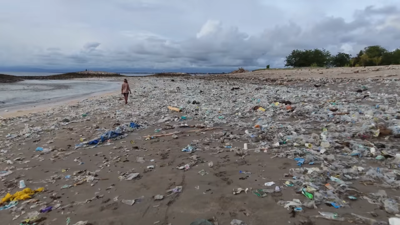 The ambitious rewilding projects that could reshape the future of Earth