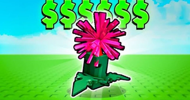 Grow a garden firework fern explained