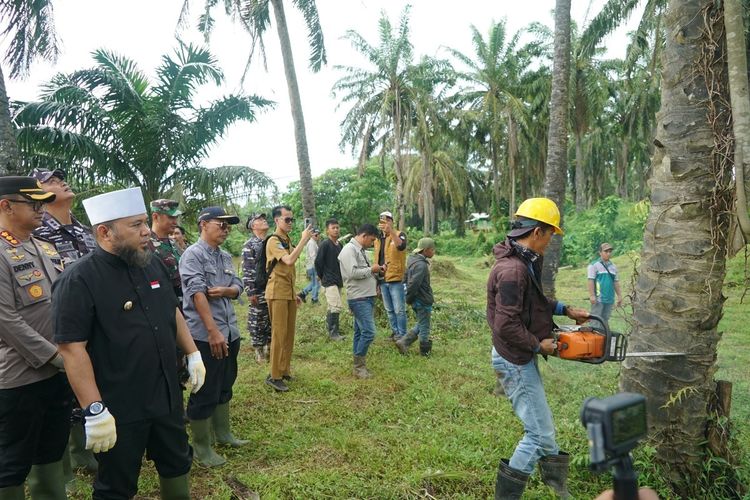 Gubernur Bengkulu, Helmi Hasan, memimpin penebangan pohon sawit milik perusahaan perkebunan yang masuk di bantaran sungai, Selasa (30/12/2025). (Dok, Pemprov Bengkulu).