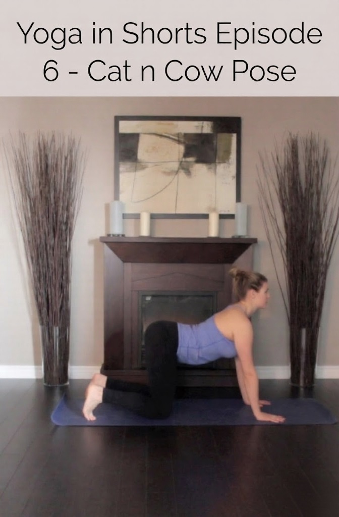 Yoga in Shorts Episode 6 - Cat n Cow Pose