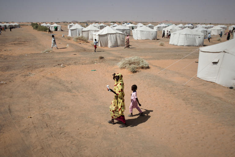Uno de cada dos niños está desnutrido en algunas zonas del norte de Darfur, Sudán, según la ONU