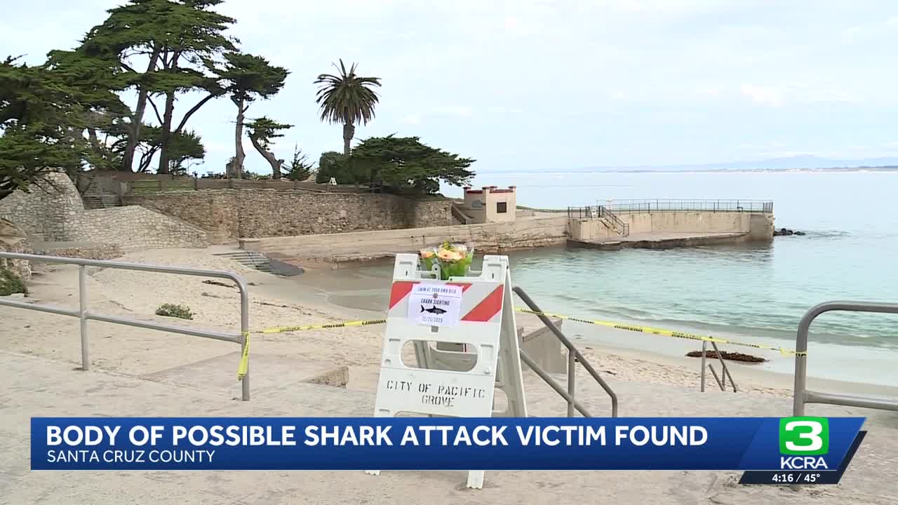 Possible shark attack victim identified after body found in Santa Cruz ...
