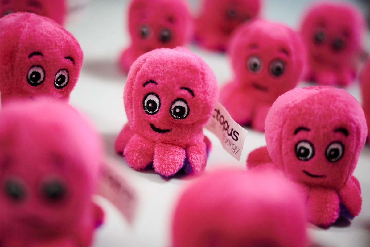 Warm weather hit sees Octopus slump to annual loss
