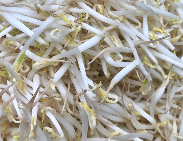 Hỗ trợ sức khỏe tim mạch của người lao động bằng loại thực phẩm dễ tìm