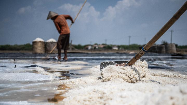 Produksi garam nasional turun 50 persen
