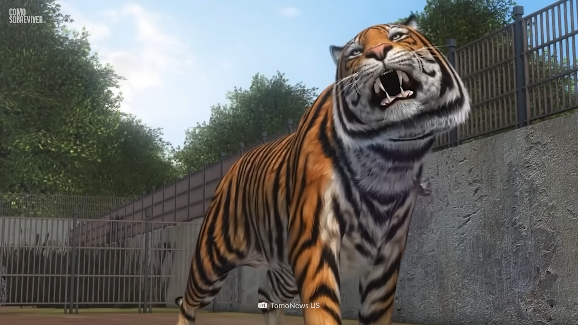 Quando a segurança falha e o zoológico vira zona de perigo | Watch, image size:1920x1080