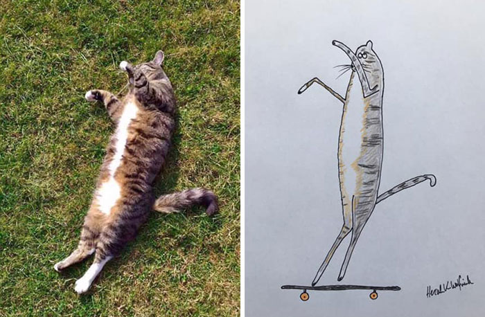 29 Animal Portraits Drawn So Badly, They Look Like Masterpieces