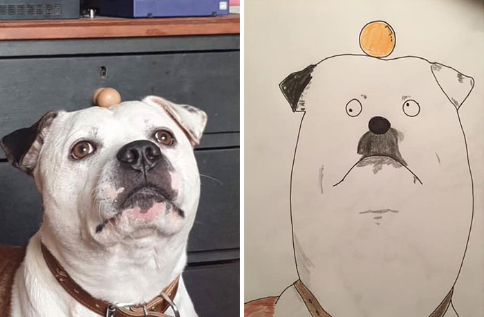 29 Animal Portraits Drawn So Badly, They Look Like Masterpieces