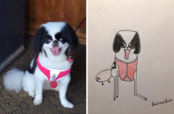 29 Animal Portraits Drawn So Badly, They Look Like Masterpieces