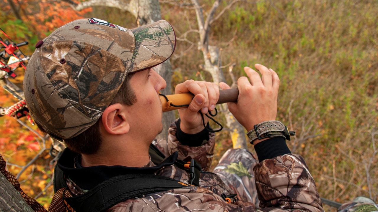 Deer calling mistakes that scare bucks off instantly