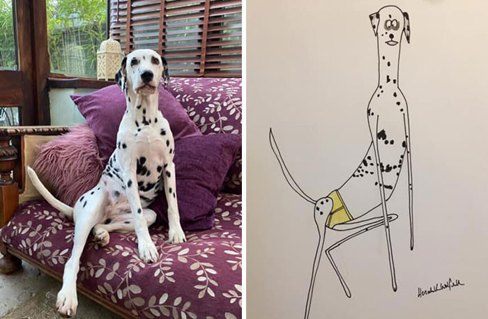 29 Animal Portraits Drawn So Badly, They Look Like Masterpieces