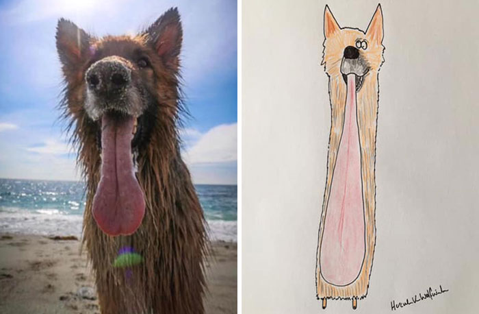 29 Animal Portraits Drawn So Badly, They Look Like Masterpieces