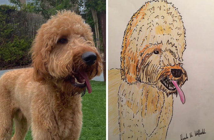 29 Animal Portraits Drawn So Badly, They Look Like Masterpieces