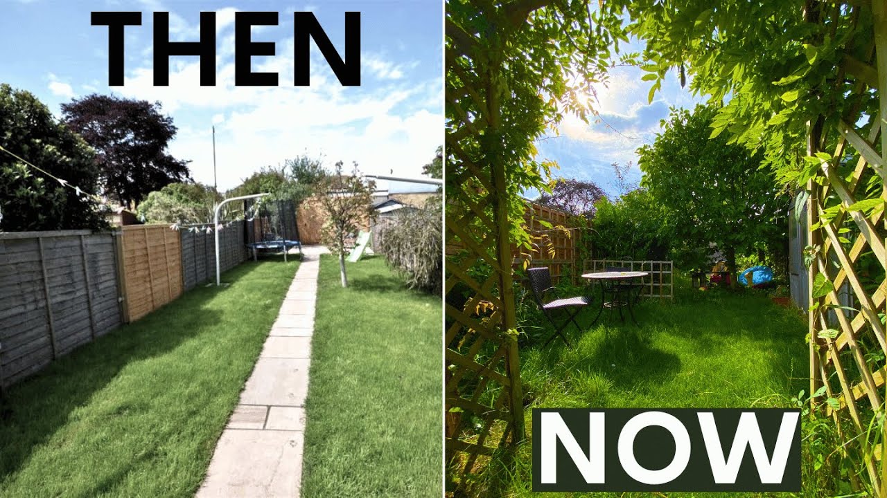 How I transformed my garden into a wildlife haven