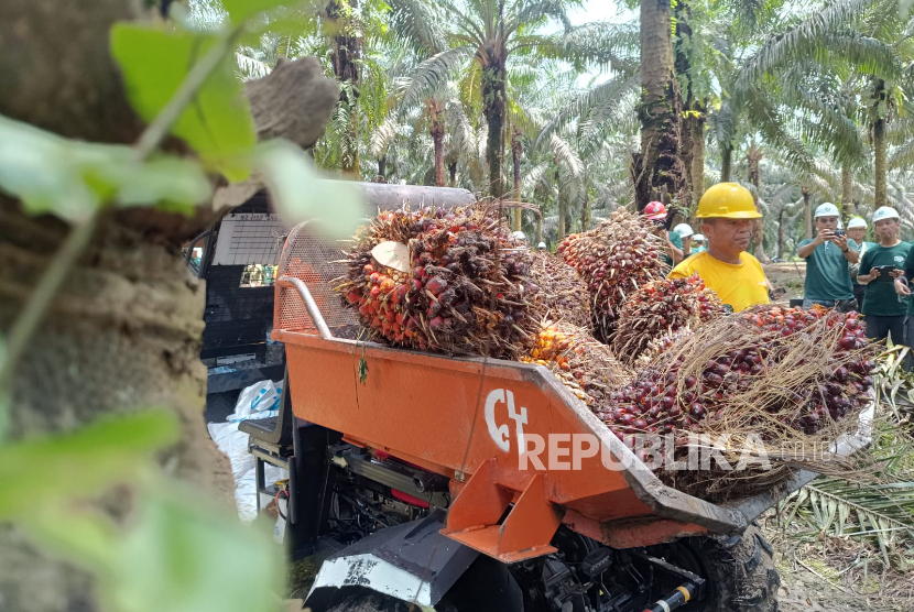 Program B50 Jangan Hancurkan Petani Sawit