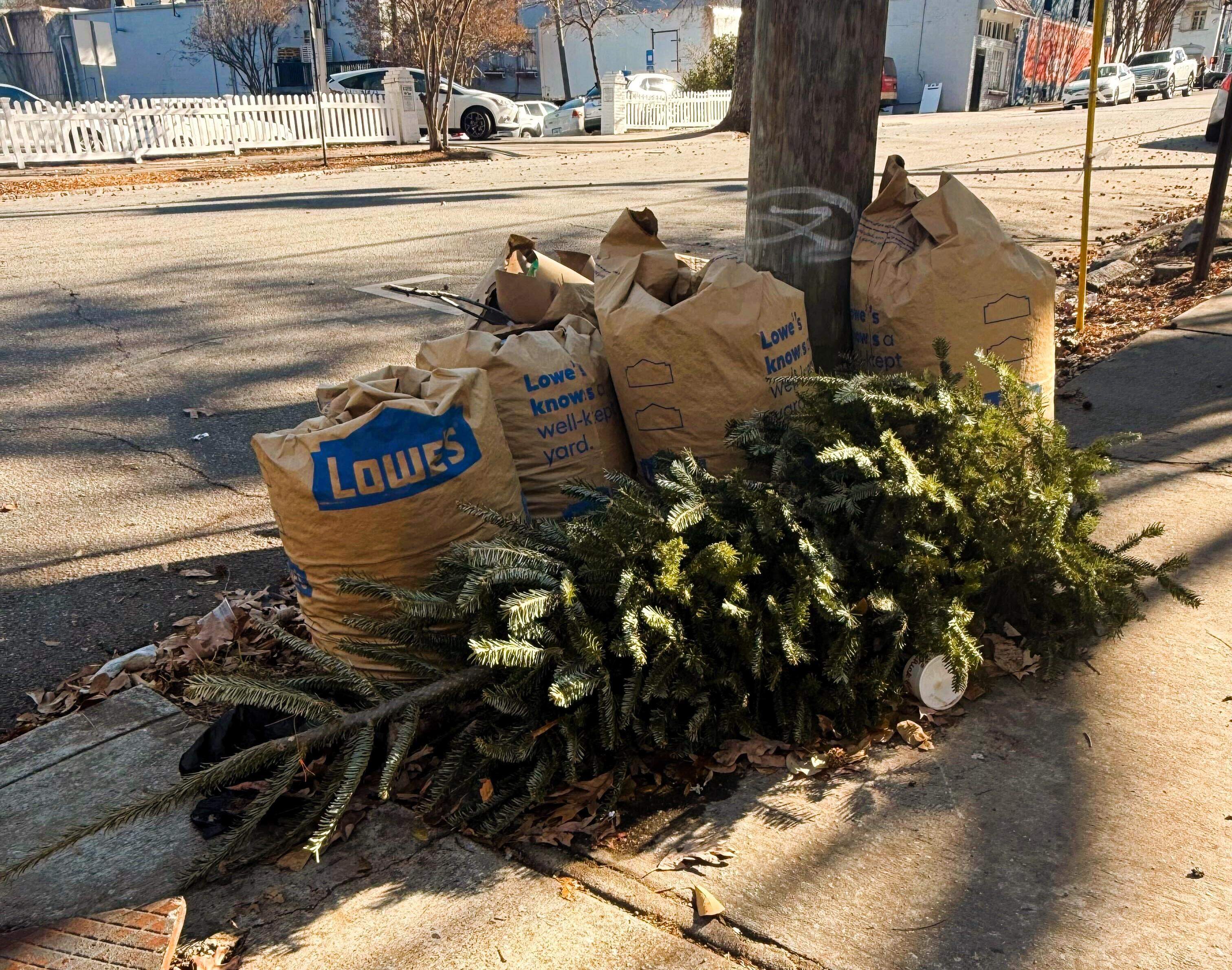 How, where and why to recycle your Christmas tree in Columbus