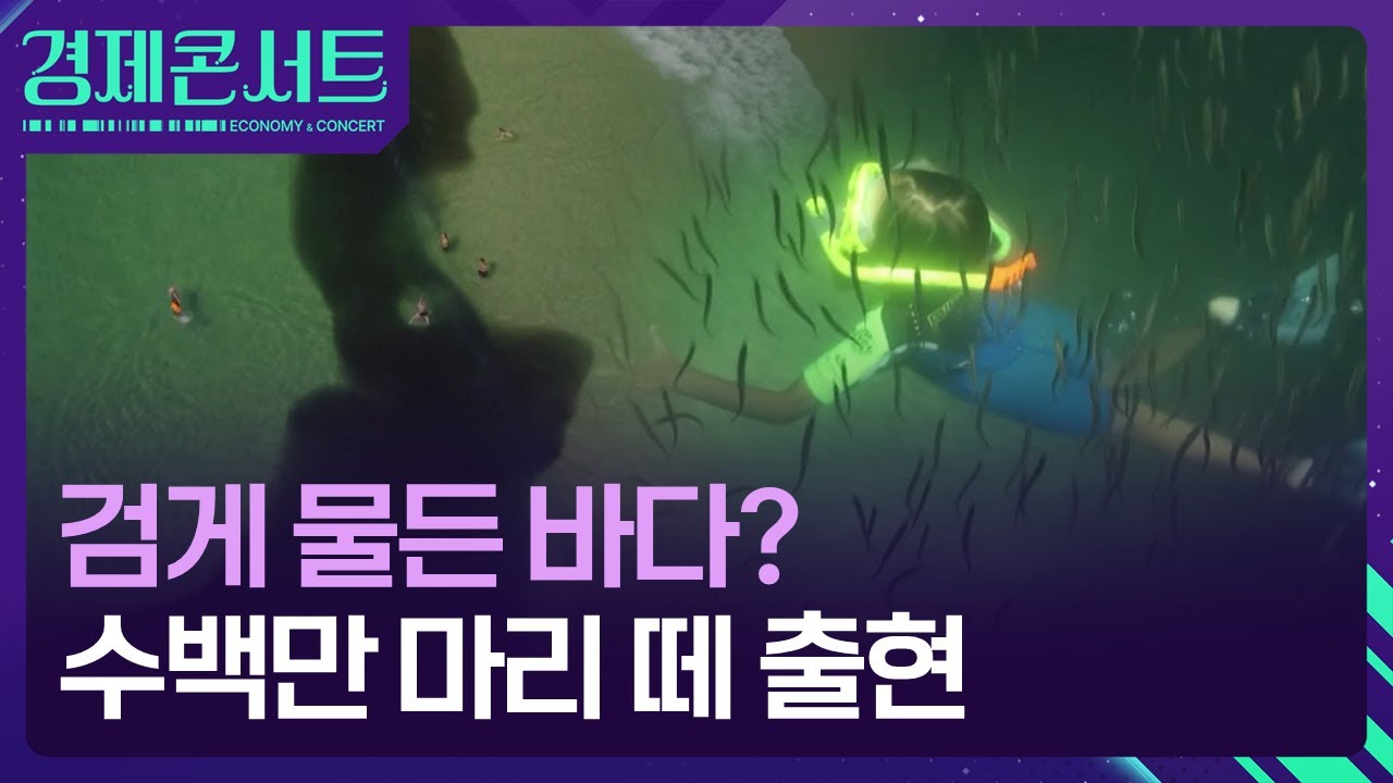 검게 물든 바다? 수백만 마리 떼 출현 [경제콘서트] / KBS 2025.12.30. | Watch