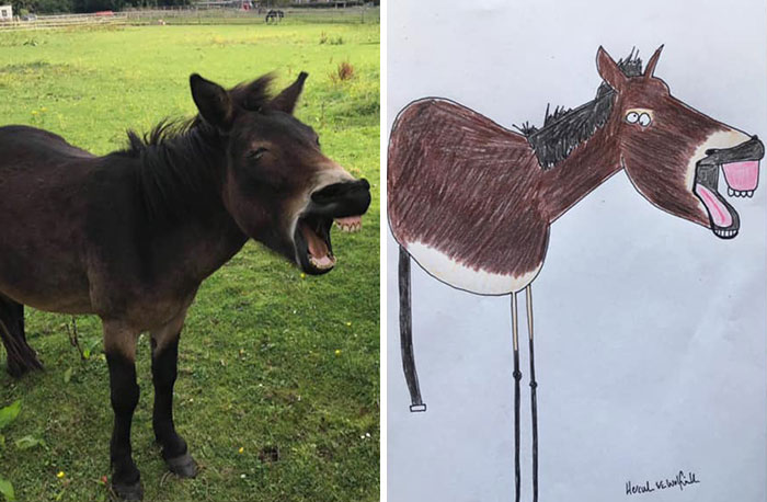 29 Animal Portraits Drawn So Badly, They Look Like Masterpieces