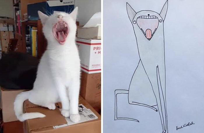 29 Animal Portraits Drawn So Badly, They Look Like Masterpieces