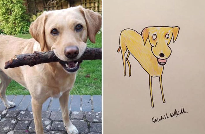 29 Animal Portraits Drawn So Badly, They Look Like Masterpieces