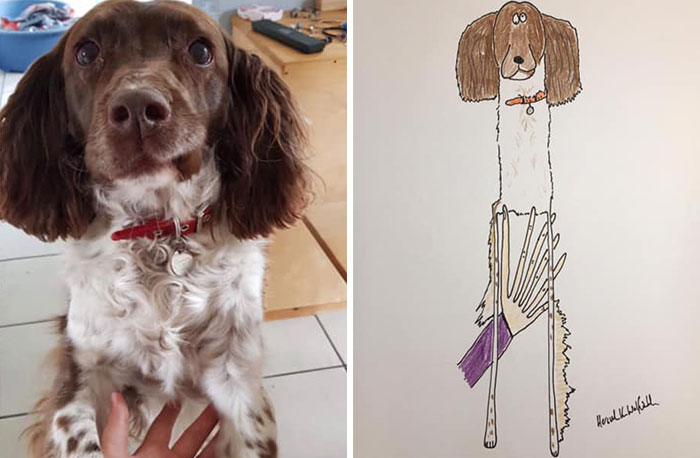 29 Animal Portraits Drawn So Badly, They Look Like Masterpieces