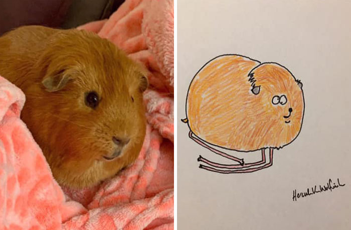 29 Animal Portraits Drawn So Badly, They Look Like Masterpieces