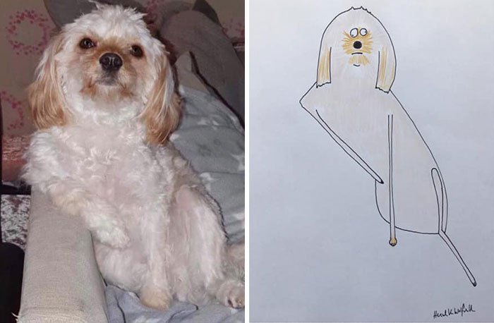 29 Animal Portraits Drawn So Badly, They Look Like Masterpieces