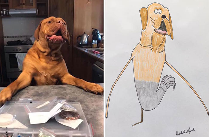 29 Animal Portraits Drawn So Badly, They Look Like Masterpieces