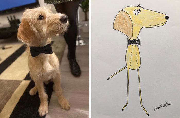 29 Animal Portraits Drawn So Badly, They Look Like Masterpieces