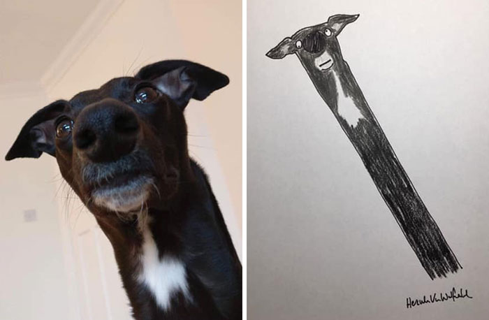 29 Animal Portraits Drawn So Badly, They Look Like Masterpieces