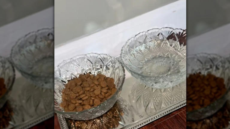 Upgrade your pet's food station on a budget with items you can find ...