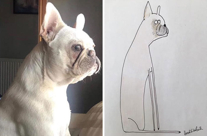 29 Animal Portraits Drawn So Badly, They Look Like Masterpieces