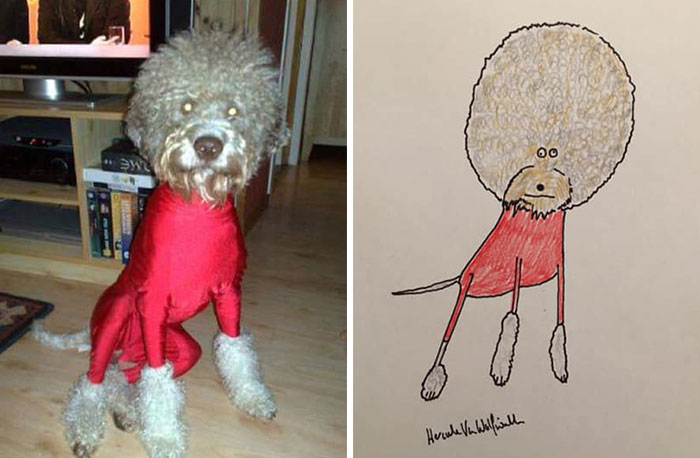 29 Animal Portraits Drawn So Badly, They Look Like Masterpieces