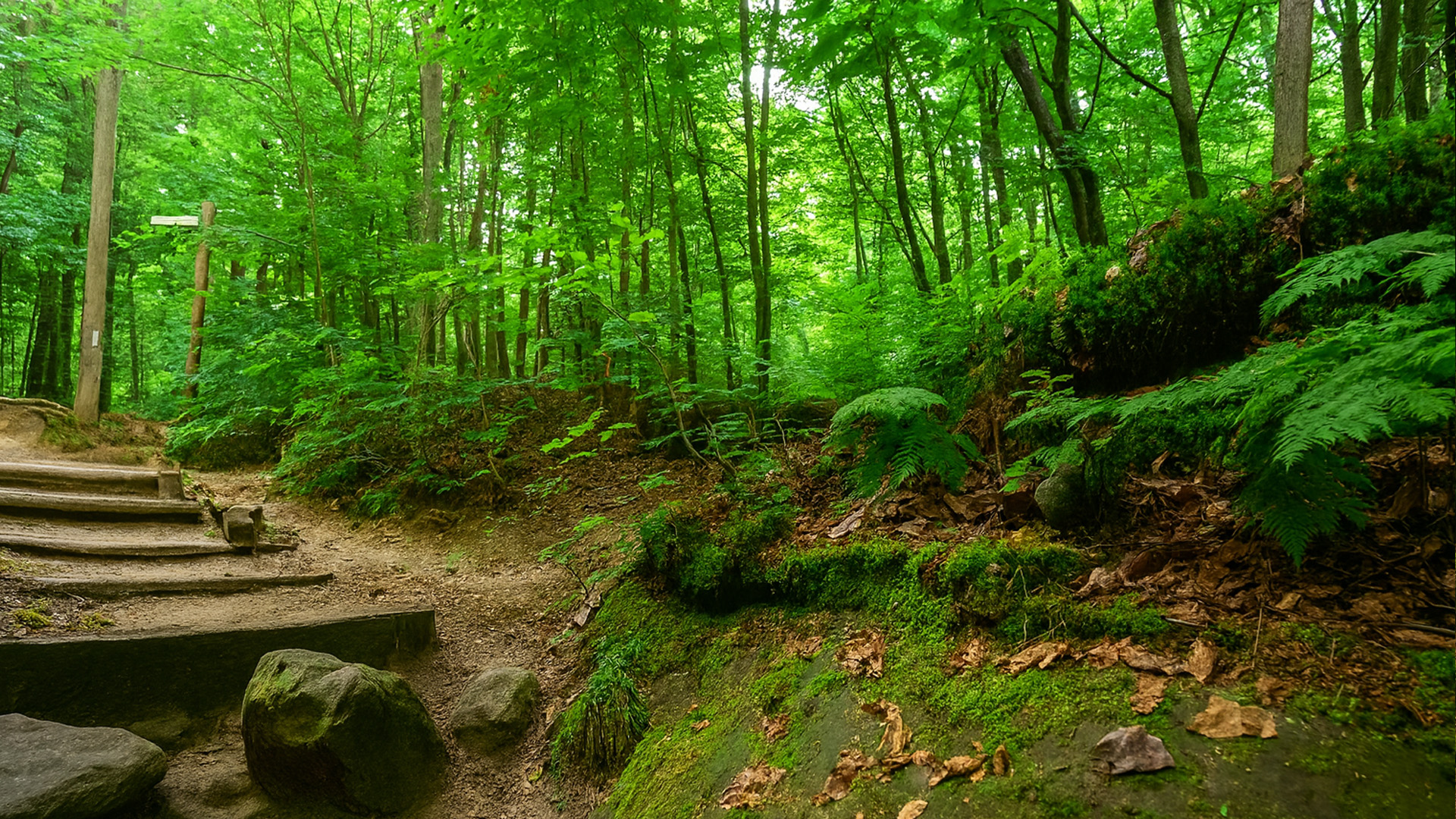 Teufelsschlucht, Germany: Ice Age gorge hiking in the Eifel (4K)