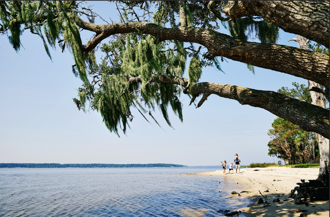 Goose Creek State Park