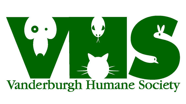Temporary fosters needed for dogs at Vanderburgh Humane Society