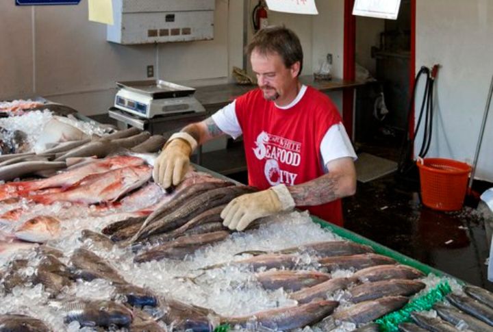 5 healthy fish to eat and 5 to choose with caution