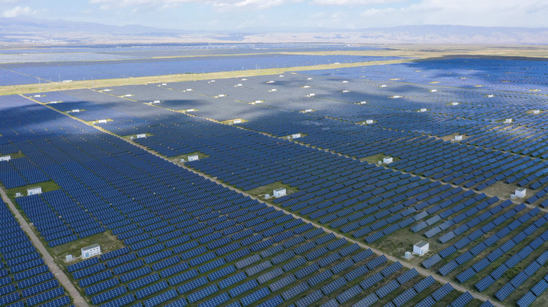 China's largest solar farm is doing a lot more than generating energy