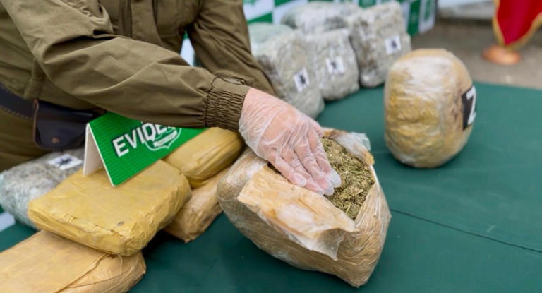 Incautan más de media tonelada de marihuana en patrullaje preventivo ...