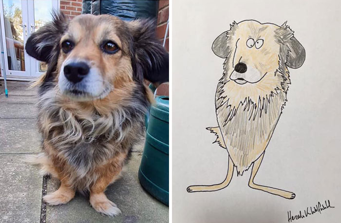 29 Animal Portraits Drawn So Badly, They Look Like Masterpieces