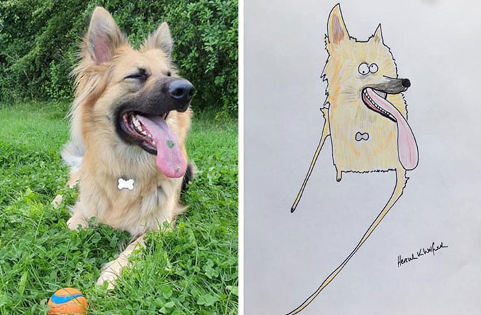 29 Animal Portraits Drawn So Badly, They Look Like Masterpieces