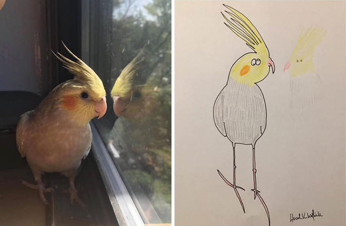 29 Animal Portraits Drawn So Badly, They Look Like Masterpieces