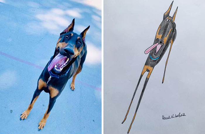 29 Animal Portraits Drawn So Badly, They Look Like Masterpieces